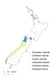 Veronica masoniae distribution map based on databased records at AK, CHR & WELT.
 Image: K.Boardman © Landcare Research 2022 CC-BY 4.0